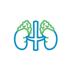 Adrenal Gland Adrenal Gland