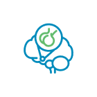 Pituitary Gland Pituitary Gland